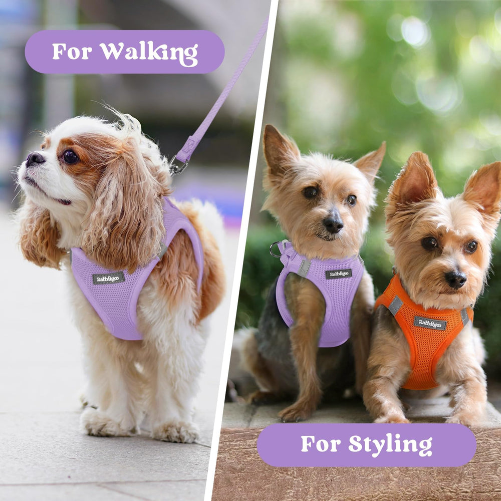 Guía de tallas Rabbitgoo para perros pequeños.