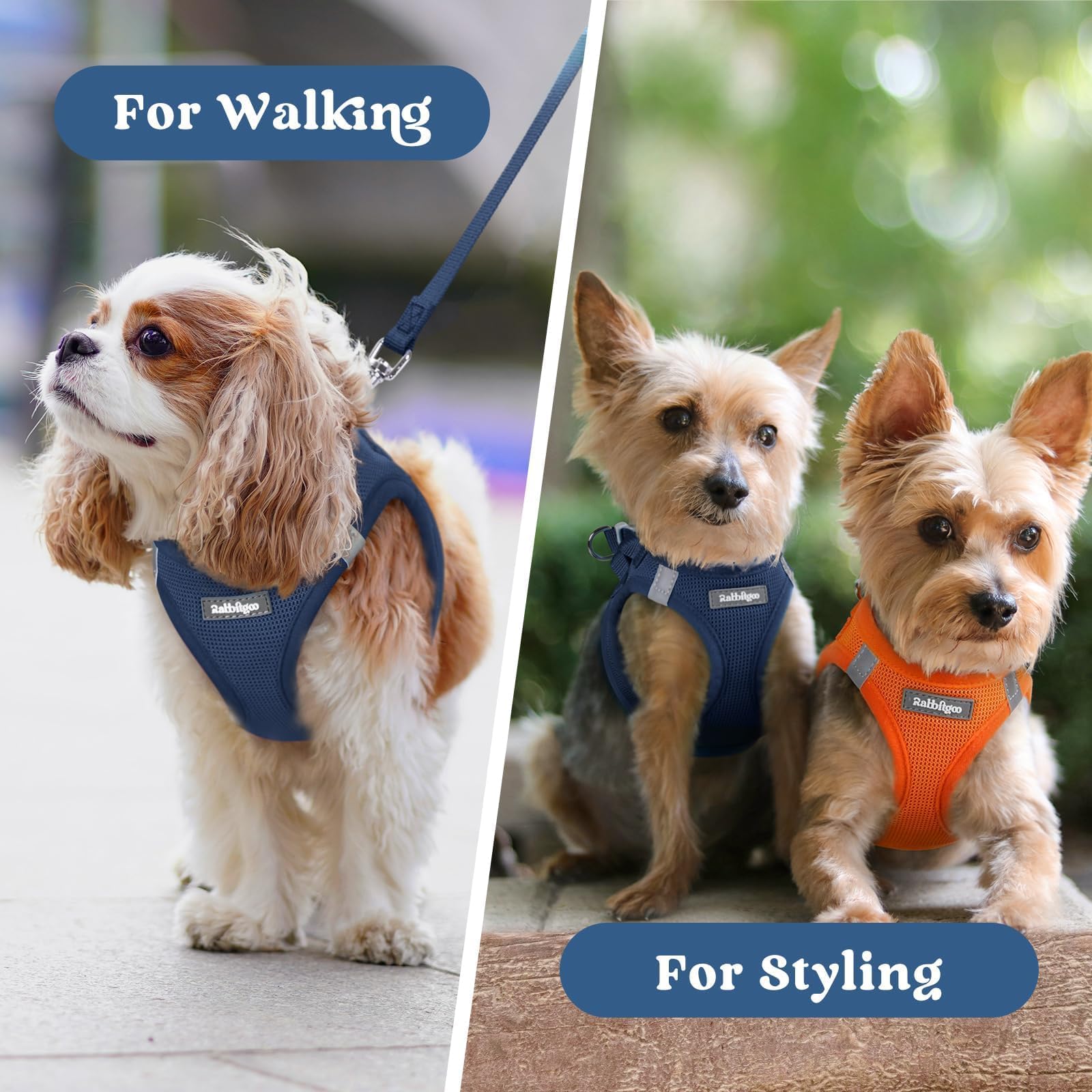 Arnés rabbitgoo talla S ideal para paseos y juegos en familia.