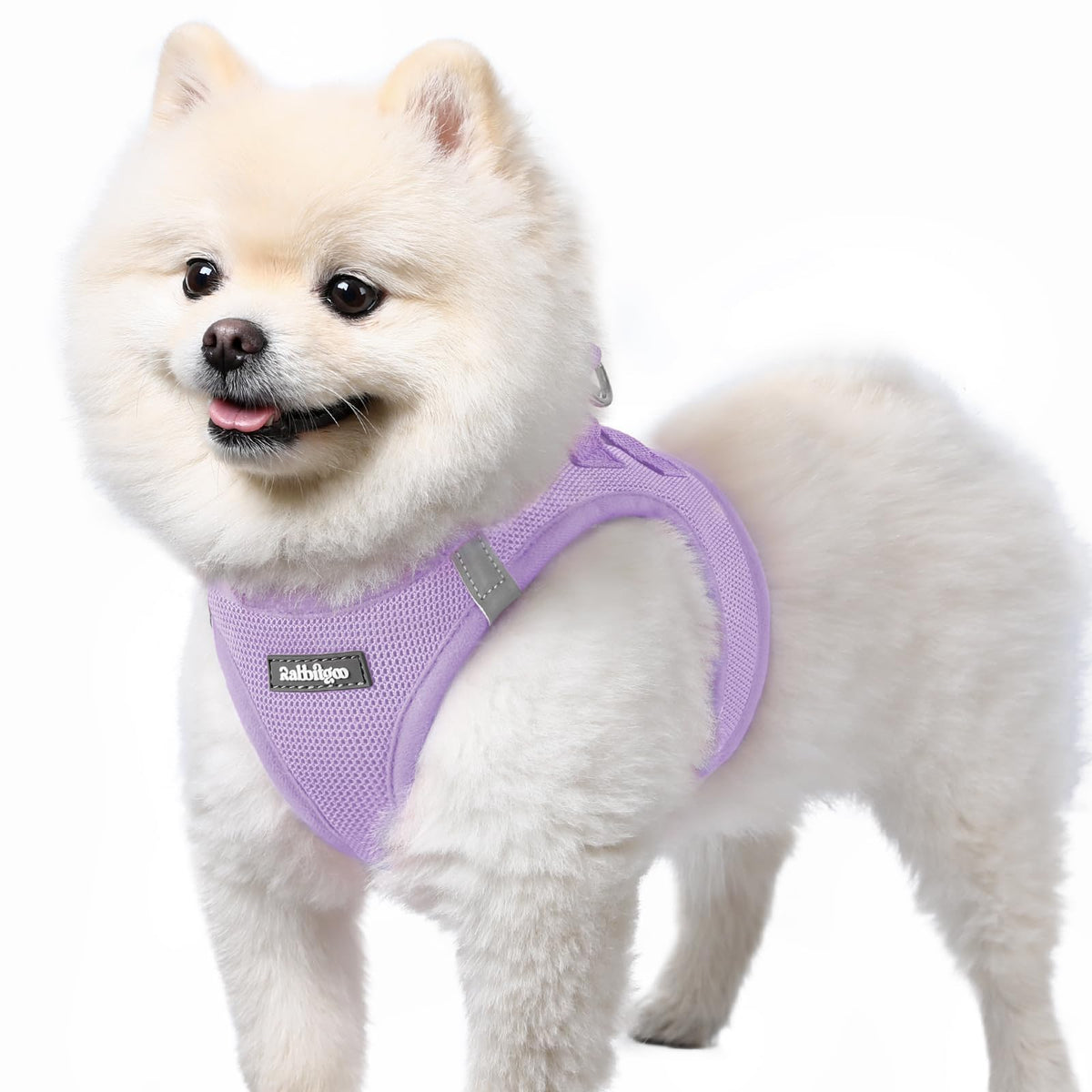 Arnés Rabbitgoo para perro pequeño con tejido de malla transpirable.