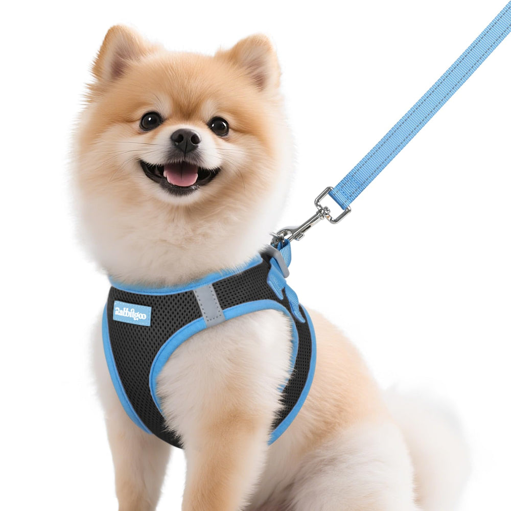 Arnés rabbitgoo para perros pequeños con malla transpirable para uso diario