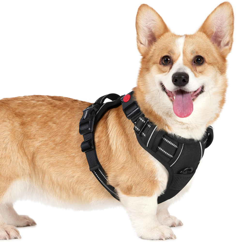 Arnés Rabbitgoo para perro pequeño con tres hebillas para ajuste seguro durante el paseo.