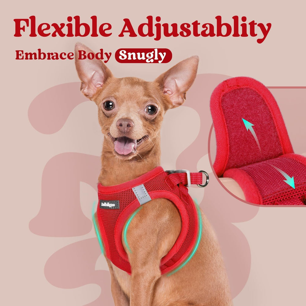Arnés rabbitgoo para uso diario, ideal para paseos y juegos.