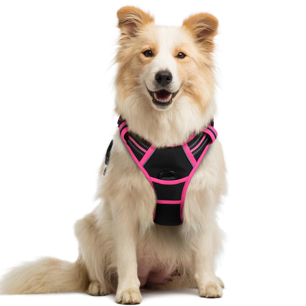 Rabbitgoo arnés para perro sin tirones con acolchado cómodo para paseos.
