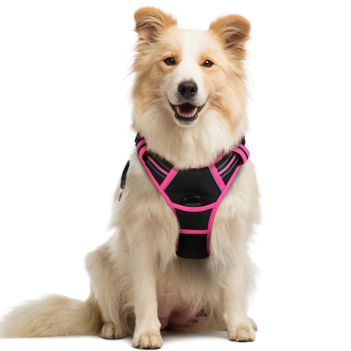 Rabbitgoo arnés para perro sin tirones con acolchado cómodo para paseos.