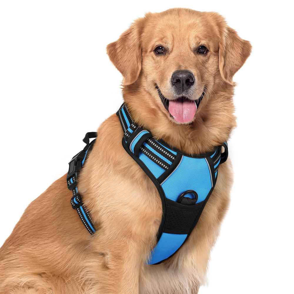 Arnés rabbitgoo para perros, doble anilla, azul XL, ideal para paseos.