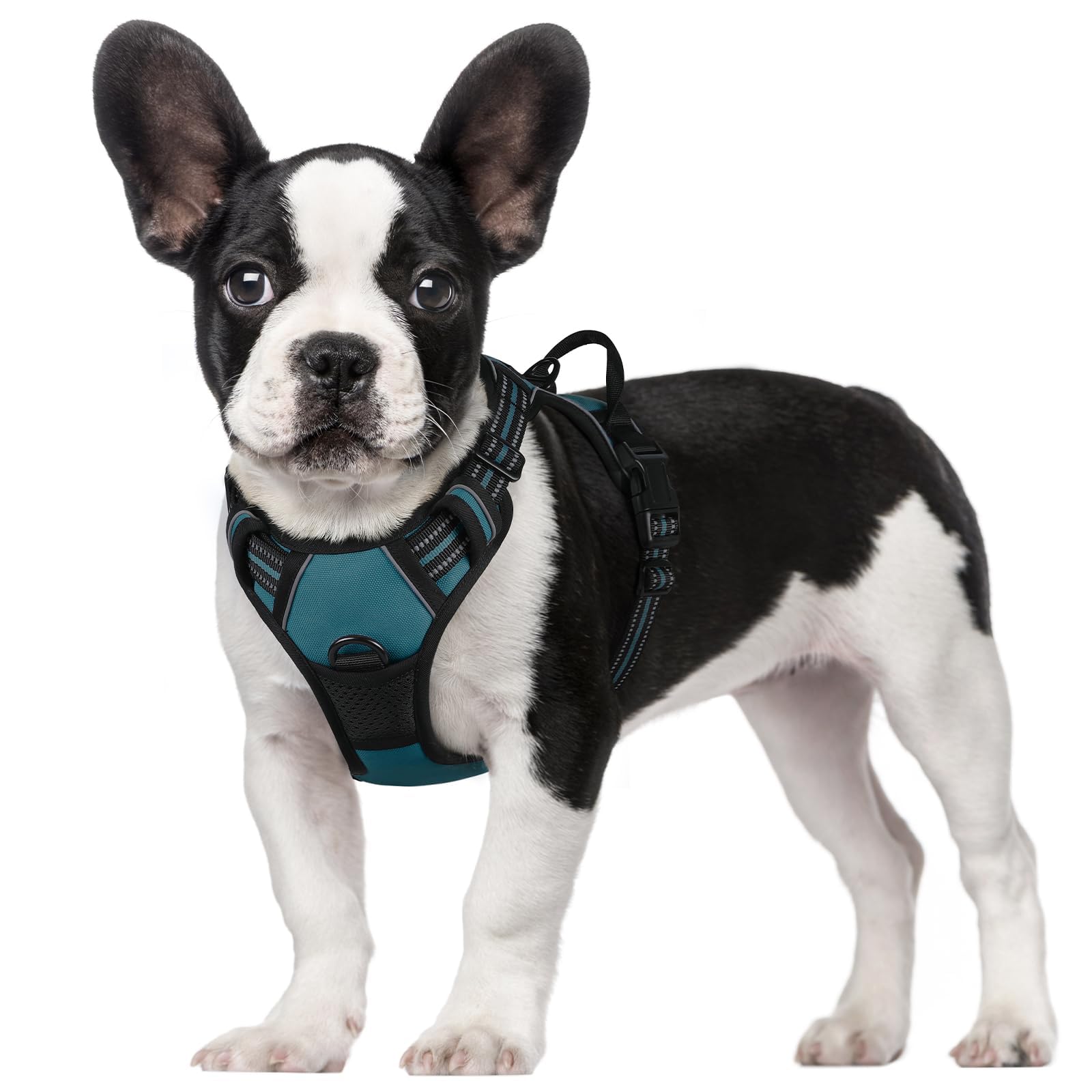 Arnés rabbitgoo para perros sin tirones con dos enganches para paseos seguros