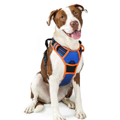 arnés rabbitgoo para perros con dos enganches, ideal para paseos sin tirar.