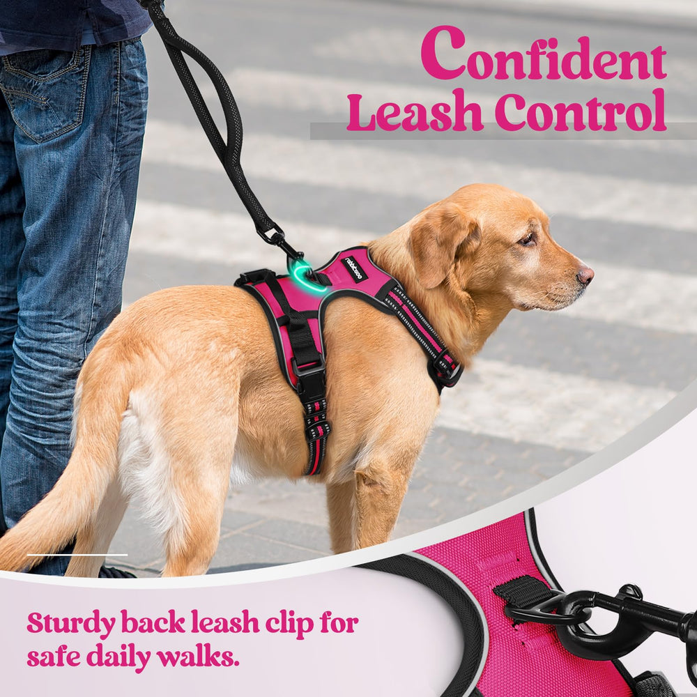 Rabbitgoo arnés talla XL ajustable para perros grandes.