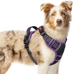 Arnés Rabbitgoo para perro mediano con 4 correas ajustables y ajuste seguro