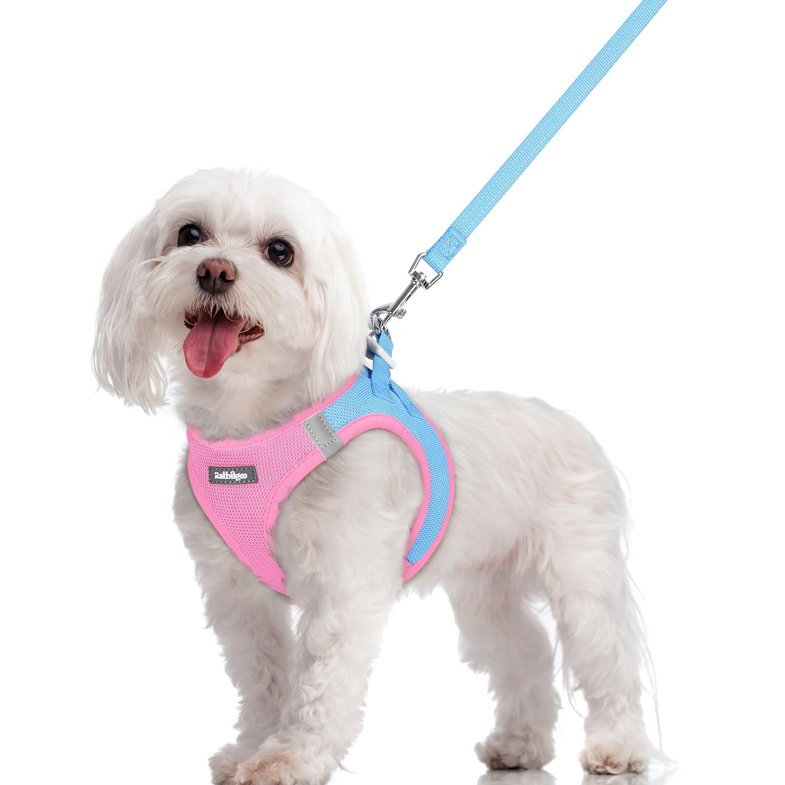 Rabbitgoo arnés para perro tamaño M con paso a entrar, cómodo para paseos diarios.