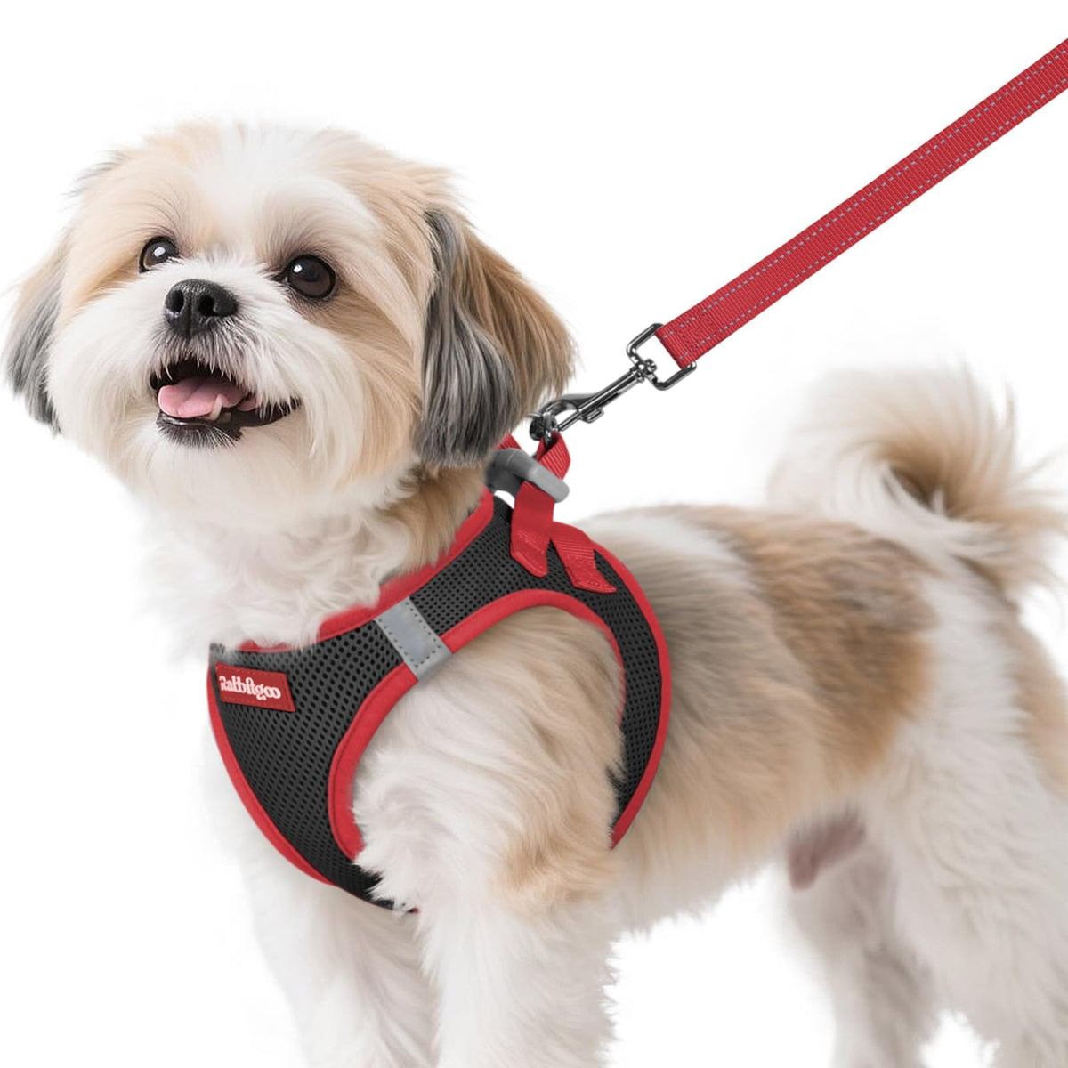 Arnés Rabbitgoo para perro S con ajuste rápido para paseos cómodos.