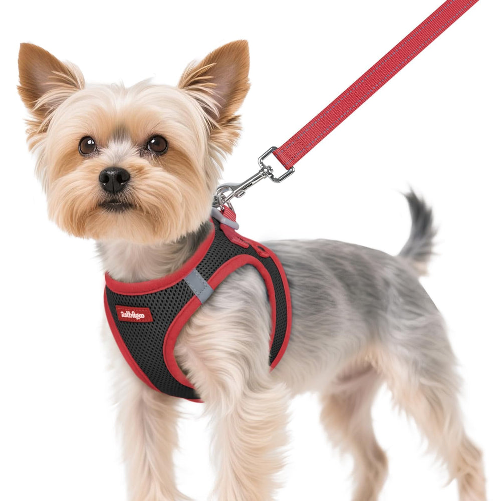 Arnés Rabbitgoo para perro XS ofrece ajuste ligero y cómodo.