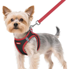 Arnés Rabbitgoo para perro XS ofrece ajuste ligero y cómodo.
