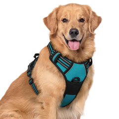 Arnés rabbitgoo teal con confort para perros grandes en paseos diarios.