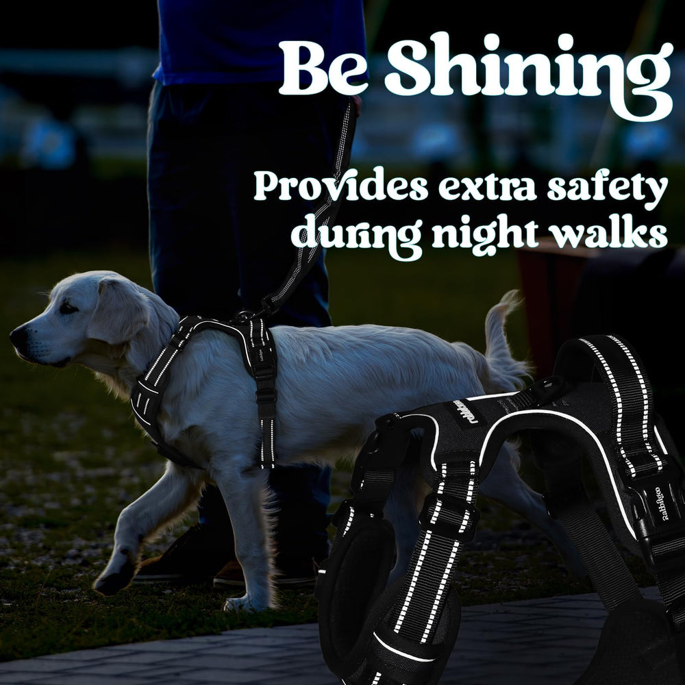 Arnés Rabbitgoo ideal para paseo diario y entrenamiento, cómodo y práctico.