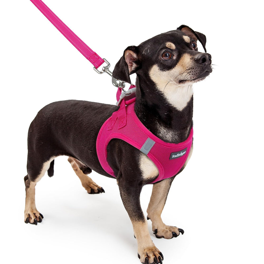 Arnés rabbitgoo XXXS con ajuste fácil para perros pequeños, color rosa.