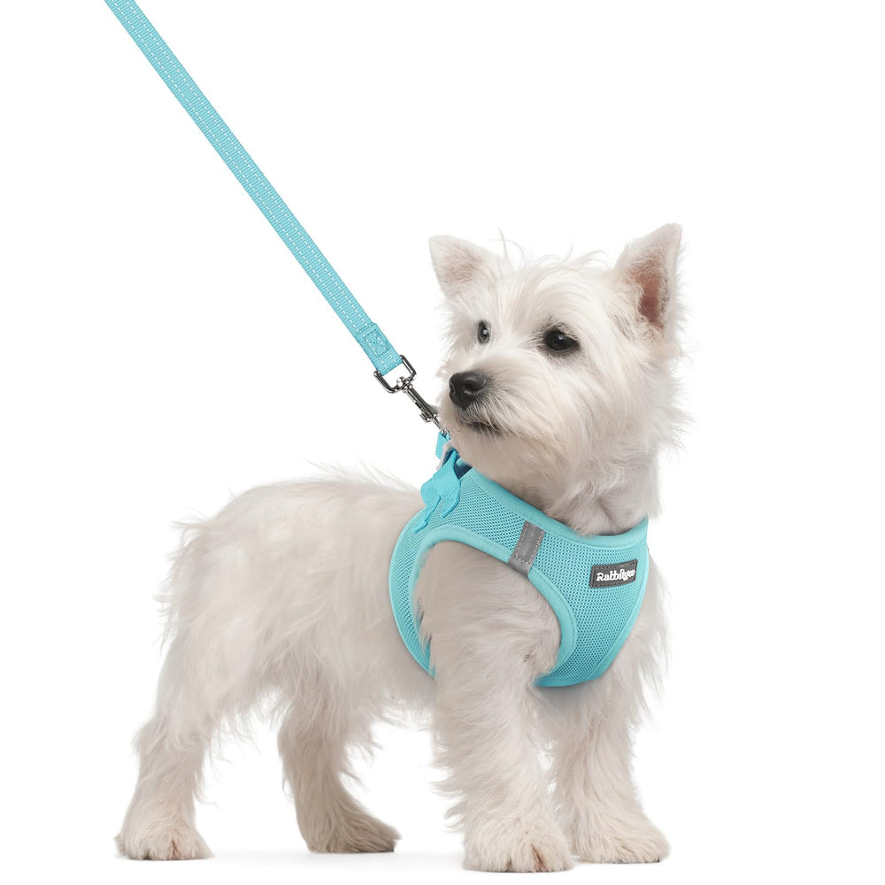 rabbitgoo arnés S mint azul frente: comodidad superior para paseos diarios