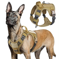 Arnés táctico Rabbitgoo para perro grande con asa y MOLLE, control seguro durante paseos.
