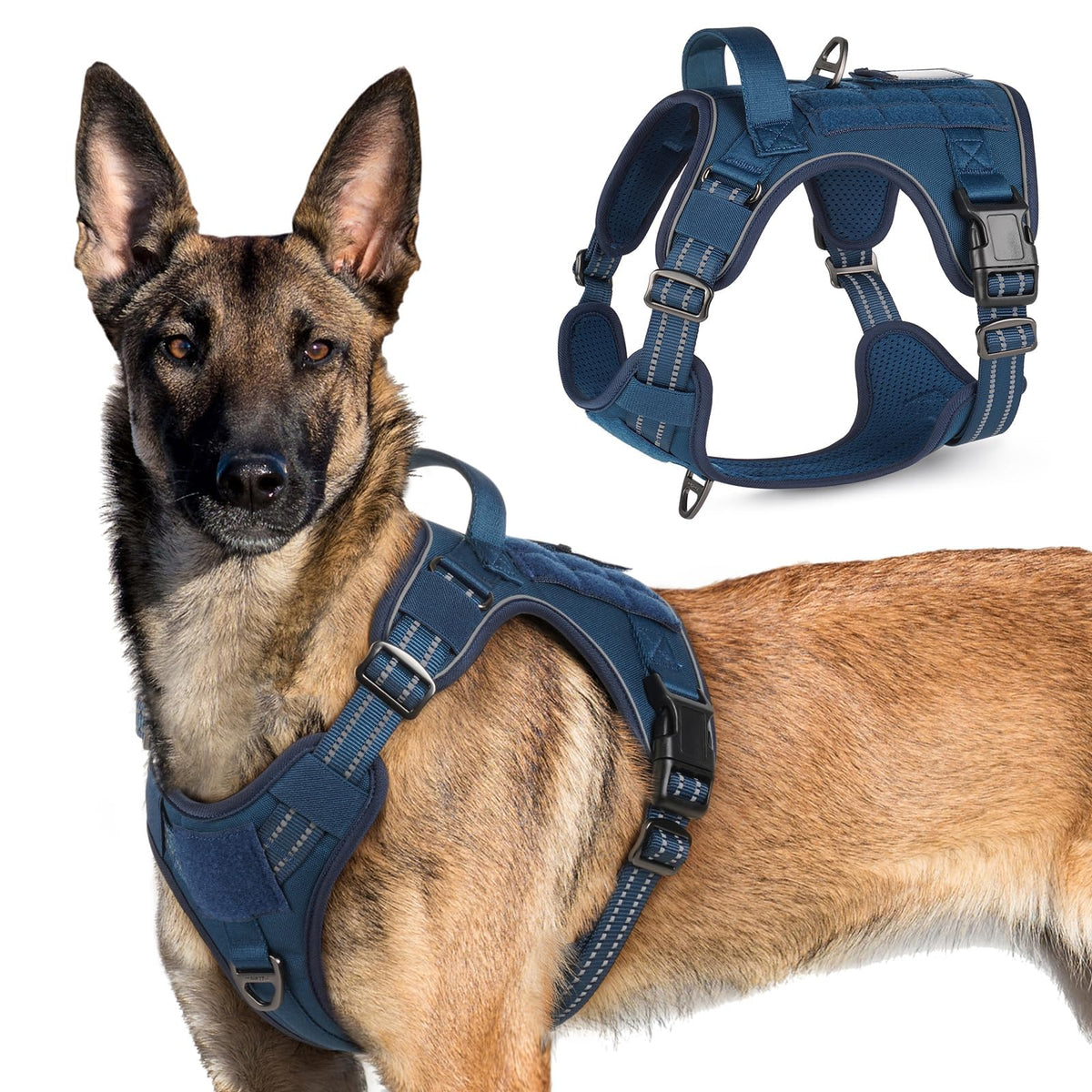 Arnés táctico Rabbitgoo para perro grande visto de dorso, ajuste cómodo y seguridad para paseos.