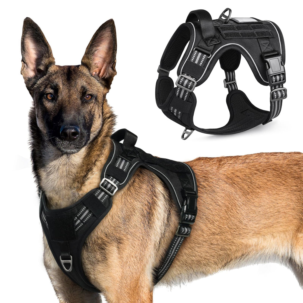 Arnés táctico Rabbitgoo para perros grandes visto de frente con ajuste seguro.