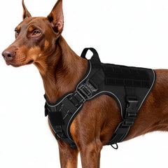 Arnés Rabbitgoo para perros grandes con gancho delantero, mejor control al caminar