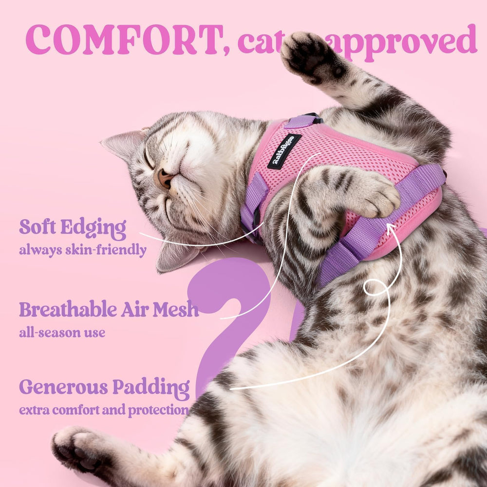 Correa Rabbitgoo para gato de 4,9 pies, control estable durante salidas.