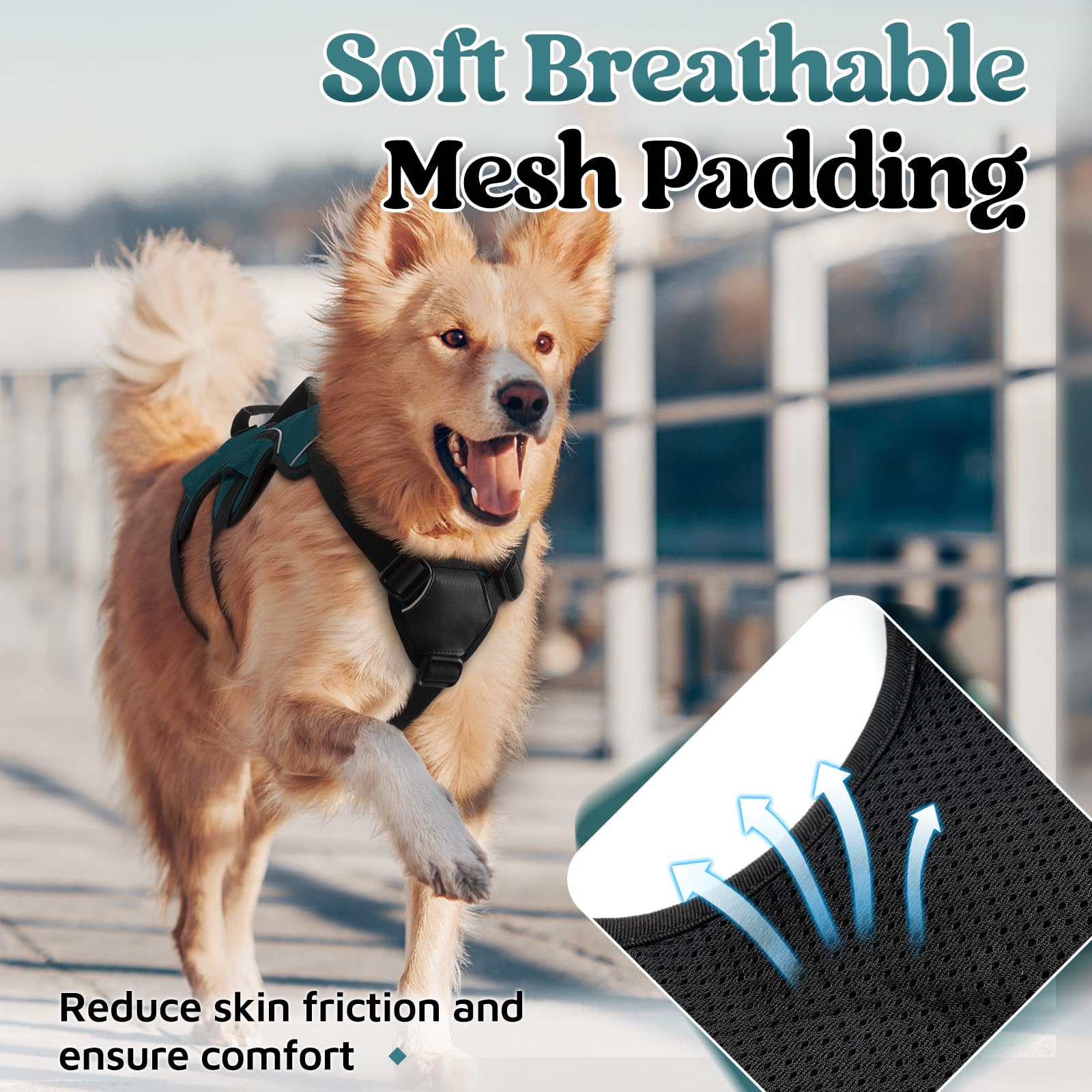Diseño ergonómico rabbitgoo que distribuye la presión para paseos largos.