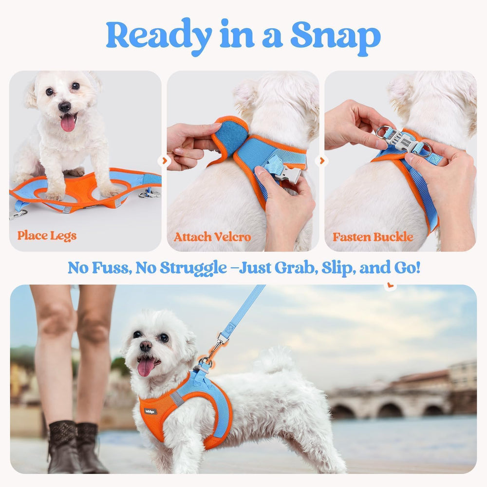 Diseño ergonómico Rabbitgoo distribuye la tensión durante el paseo.
