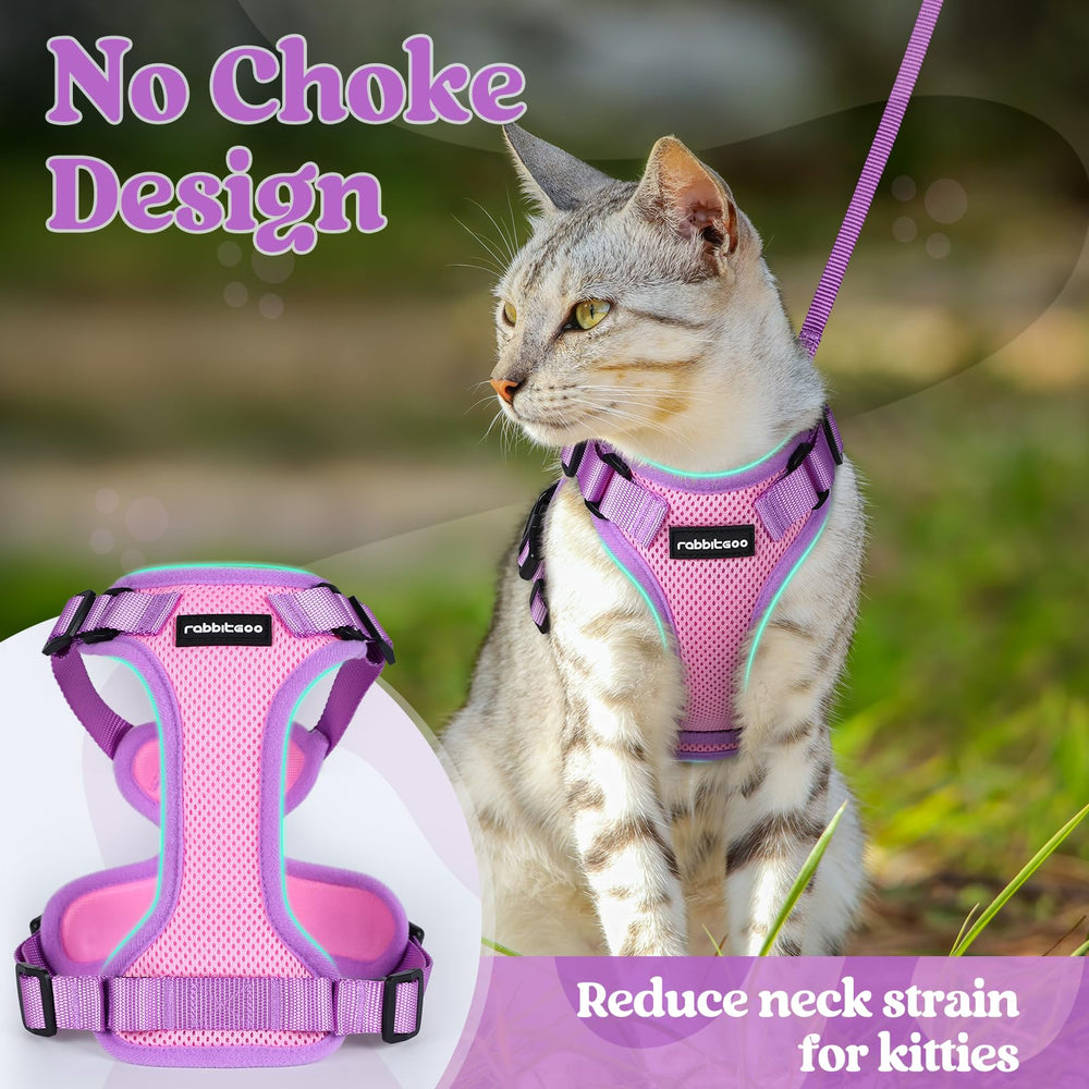 Diseño ligero de malla transpirable de Rabbitgoo para gato.
