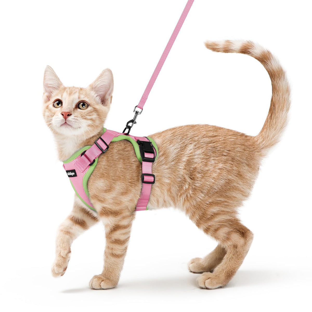 Arnés Rabbitgoo para gato, vest malla aire rosa, cómodo en paseos.