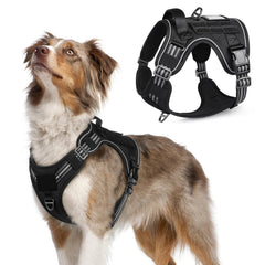 Arnés rabbitgoo táctico para perro mediano, vista frontal, cómodo y seguro para paseos.