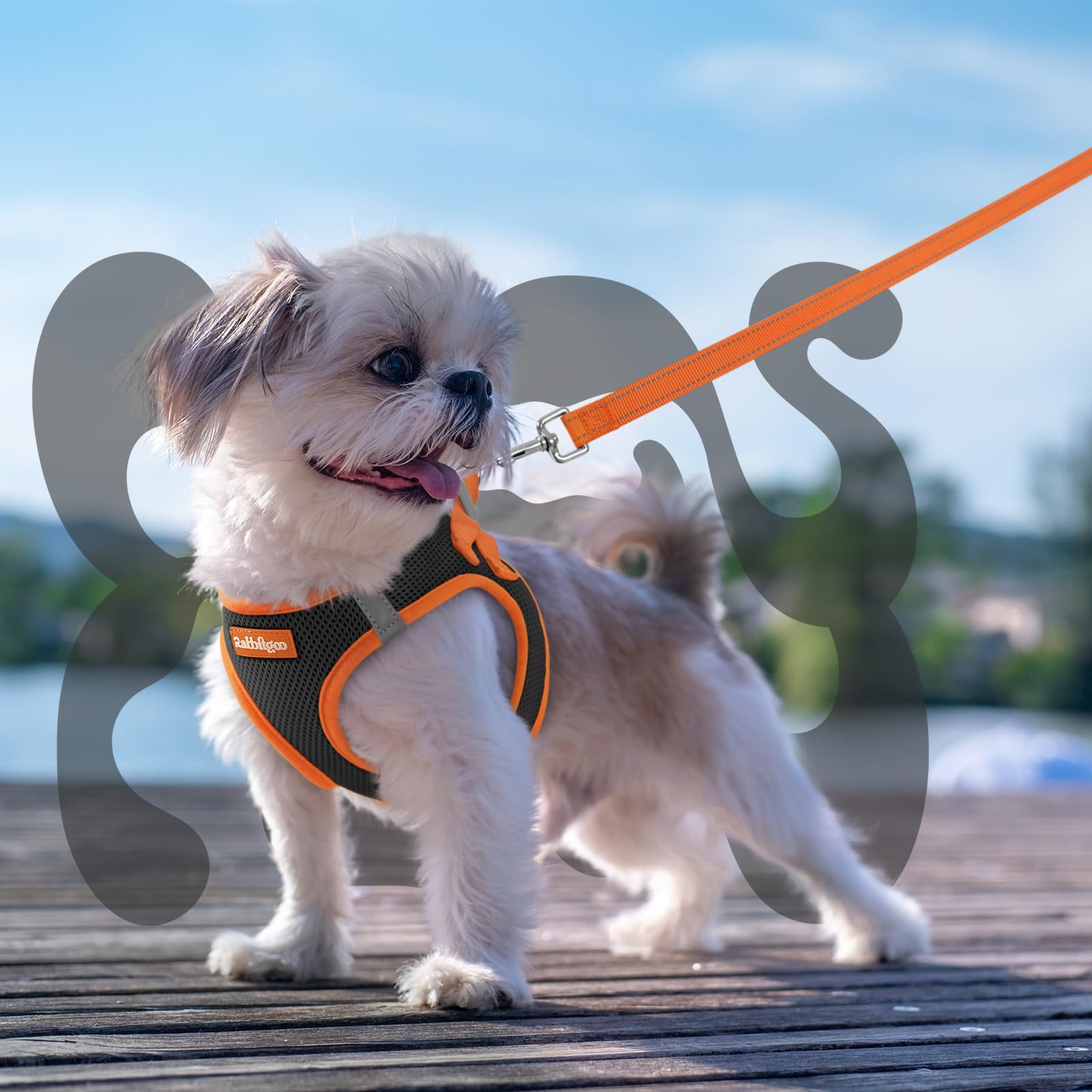 Detalle ergonómico y cómodo en el arnés Rabbitgoo para perros pequeños.