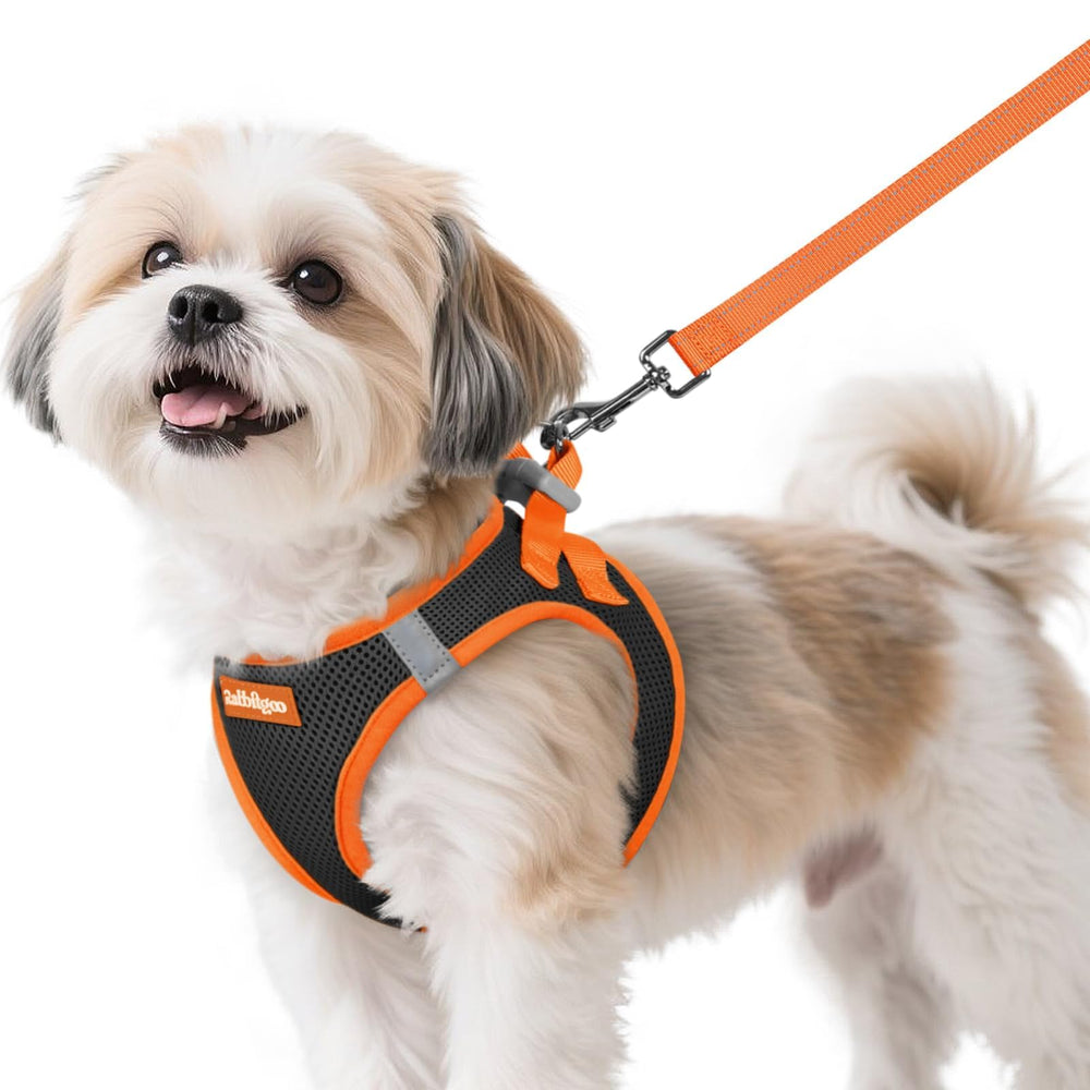 Arnés Rabbitgoo para perro S con malla aire, cómodo y transpirable para uso diario.