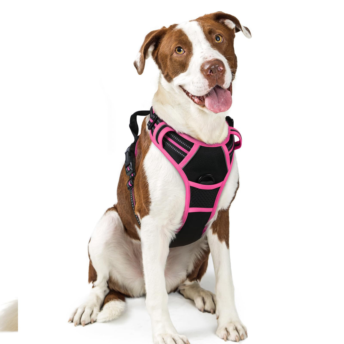 Arnés rabbitgoo con dos anillos de correa para paseos seguros y controlados.