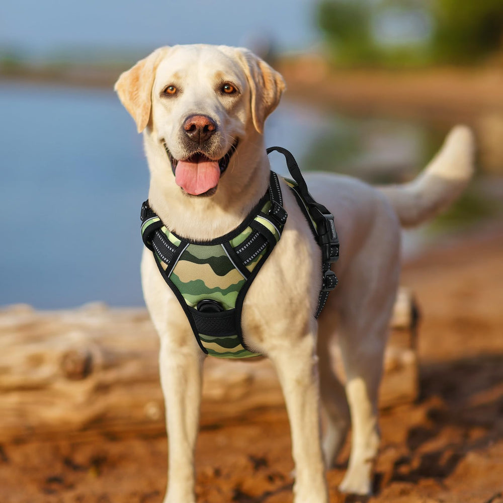 Arnés rabbitgoo para perros grandes talla XL