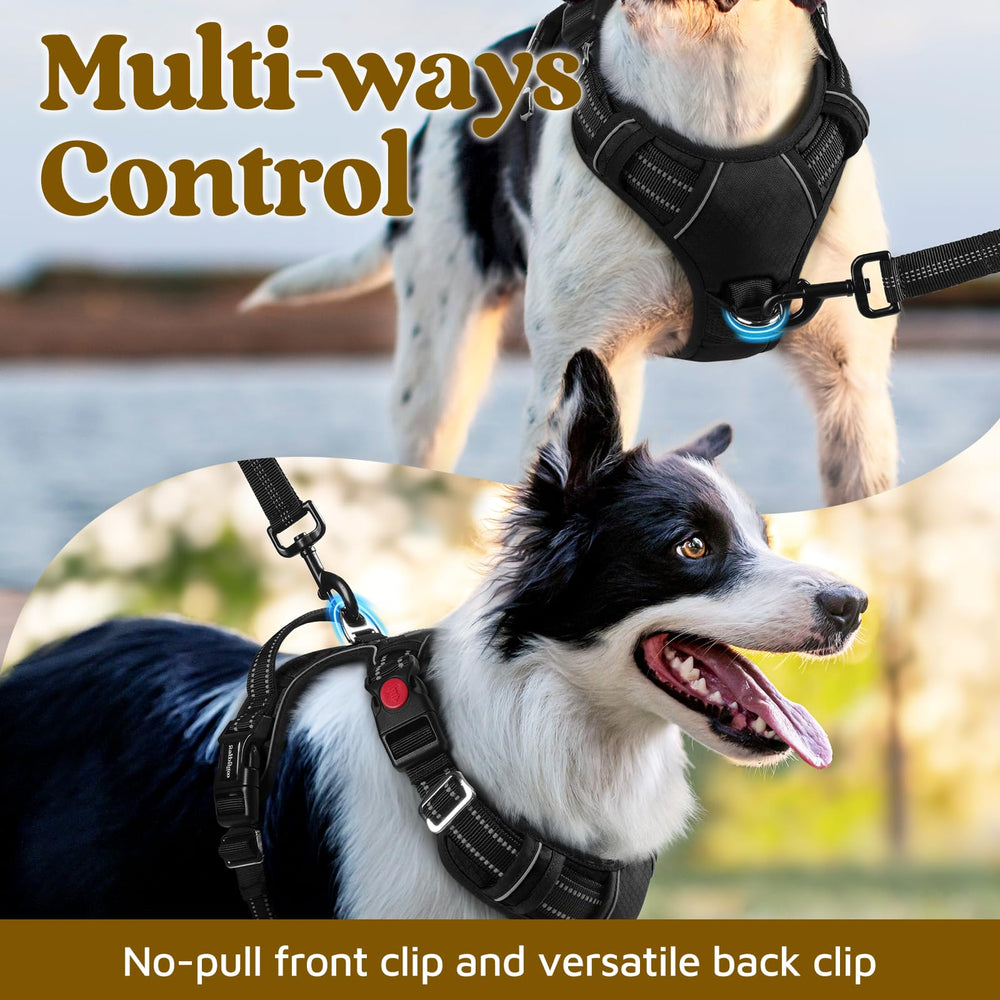 Mango de control superior para un manejo firme durante las caminatas.