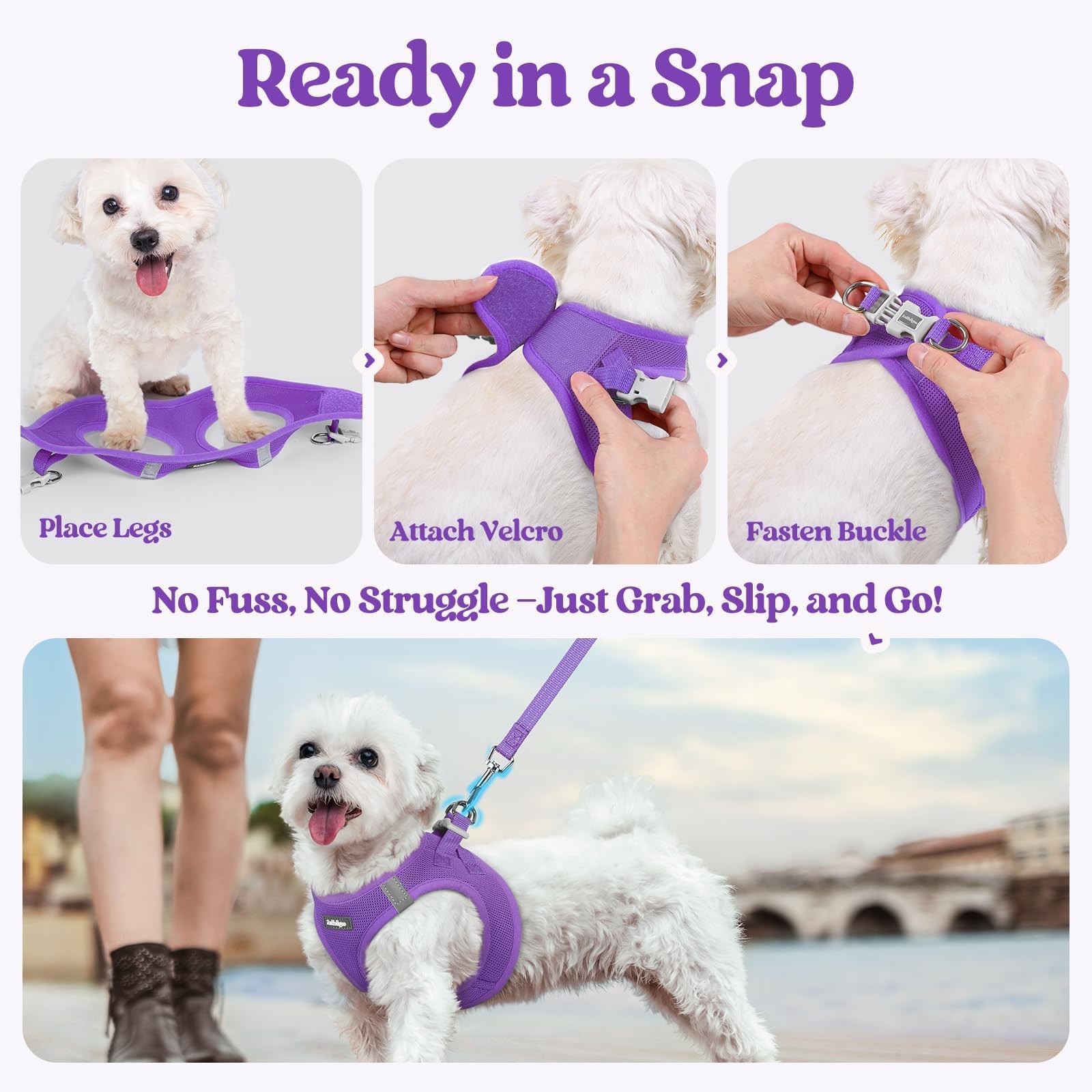 Mango ergonómico Rabbitgoo para un agarre cómodo durante caminatas.