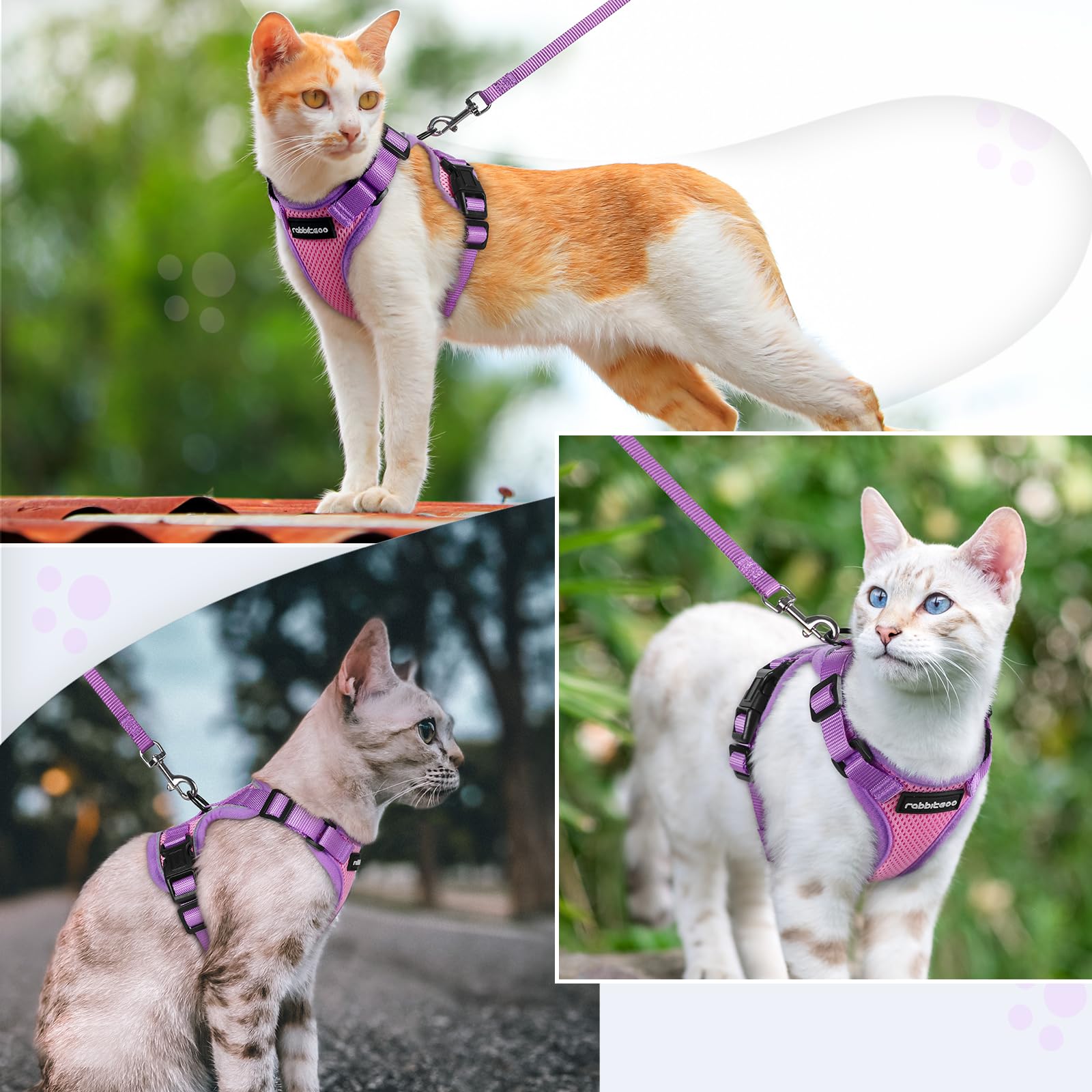Correa Rabbitgoo para gatos: movimiento seguro y sin enredos.
