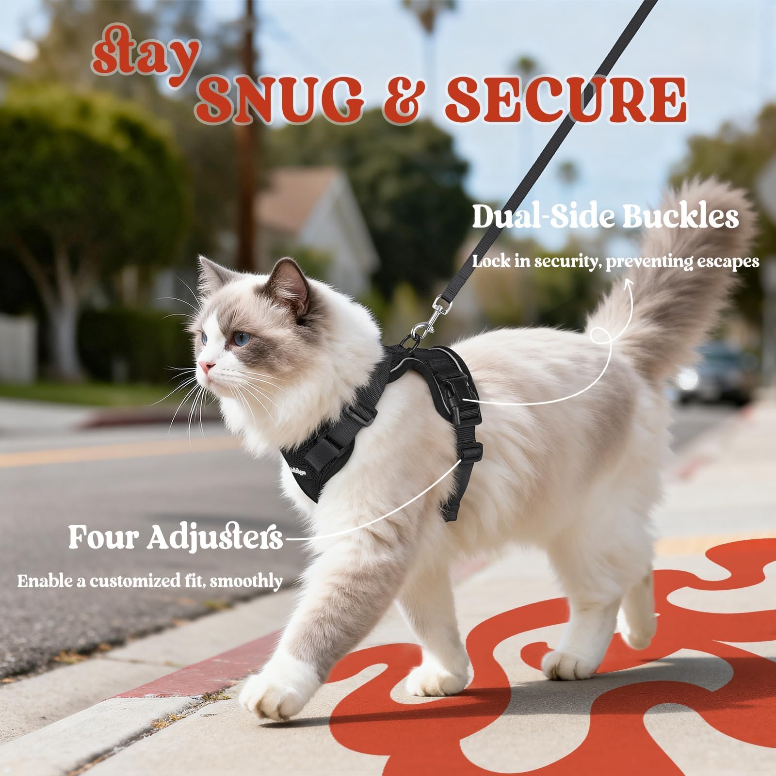 Paseo de gato en entorno urbano con arnés Rabbitgoo cómodo.