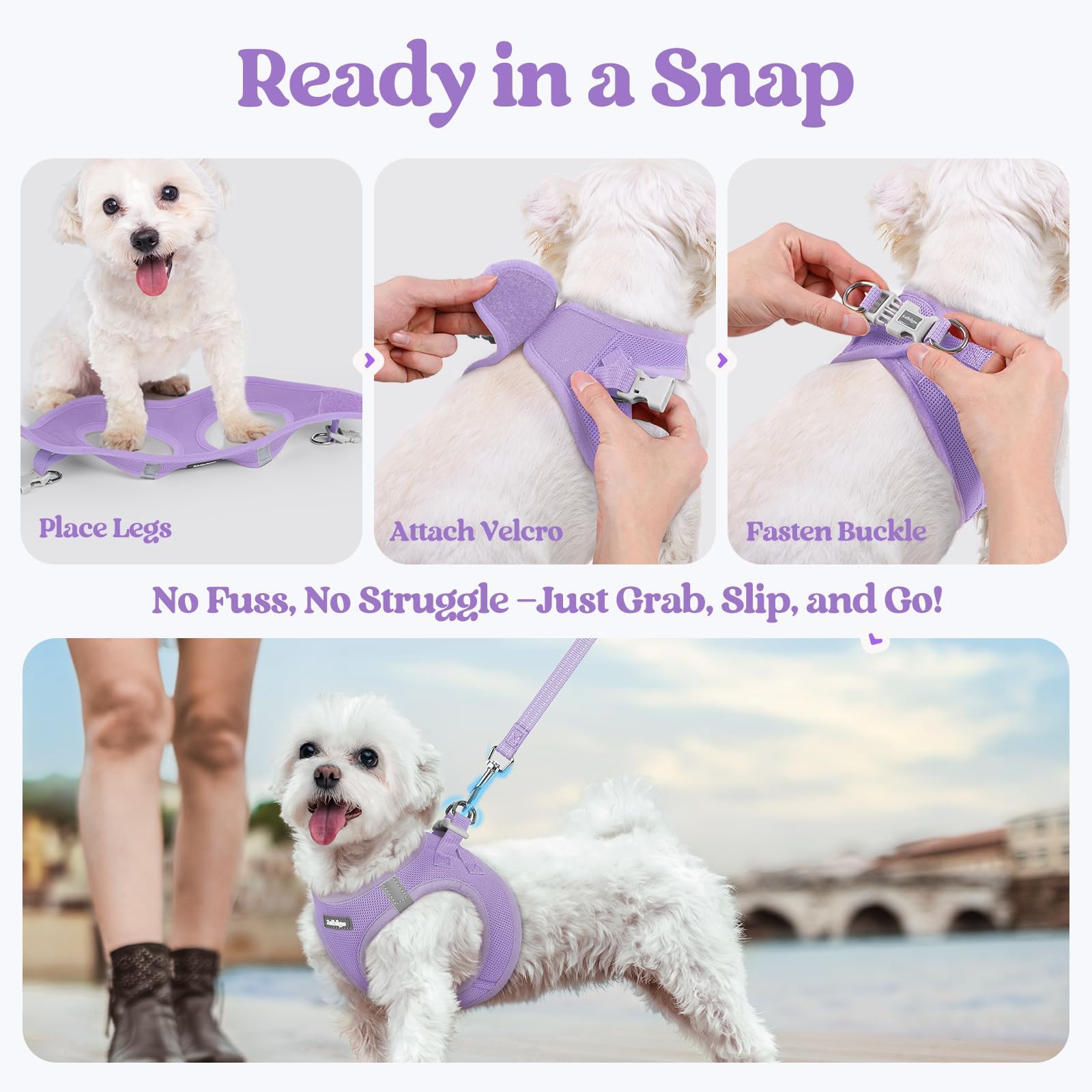 Talla XS de Rabbitgoo para perros pequeños, adecuado para cuello y pecho