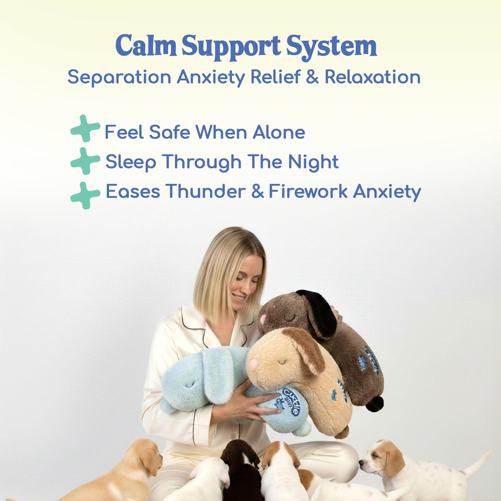 Race&Herd CuddleBun, entrenamiento conductual con peluche calmante.