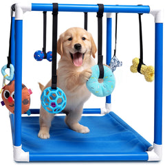 Race&Herd Puppy Play Gym: Estructura azul para juego activo en cachorros.