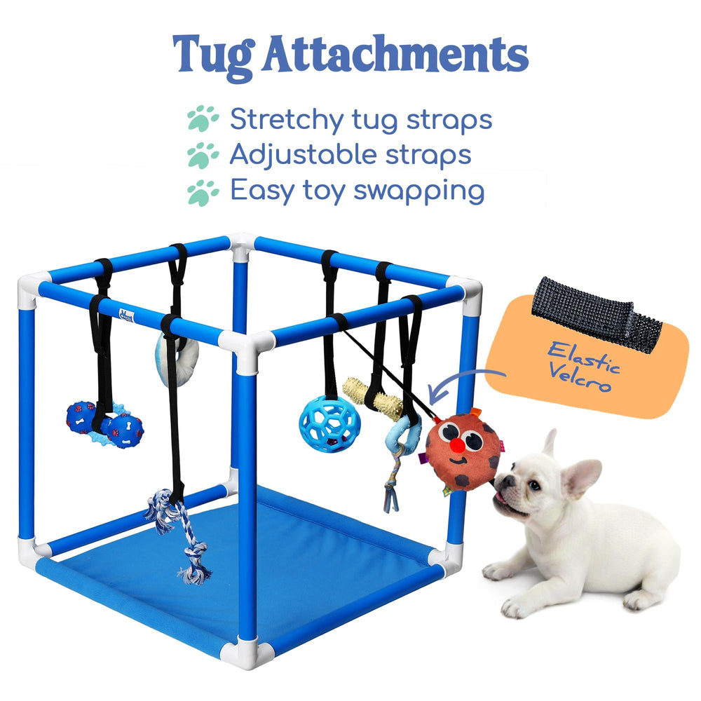 Race&Herd Puppy Play Gym: Obstáculos para cachorros que favorecen la coordinación y el ejercicio.