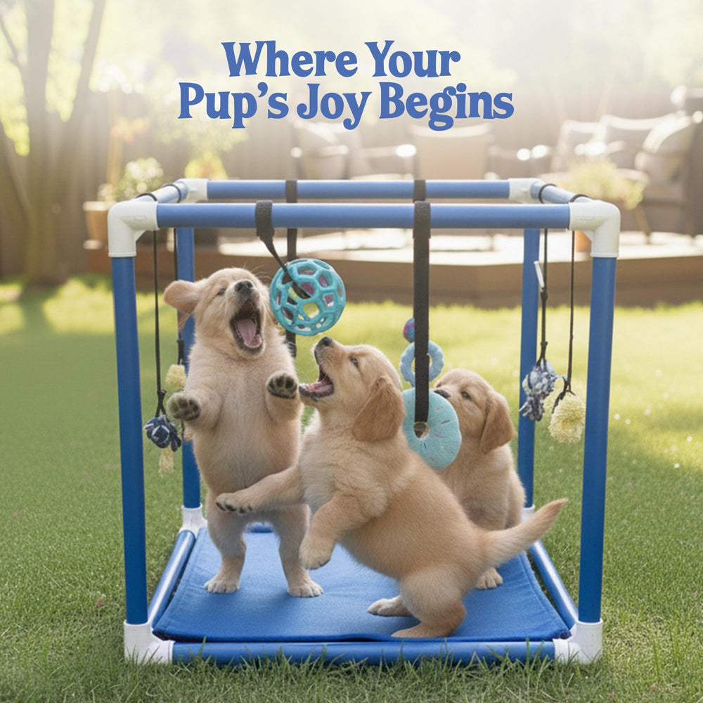 Race&Herd Puppy Play Gym, compartimentos para premios ocultos durante el entrenamiento suave.
