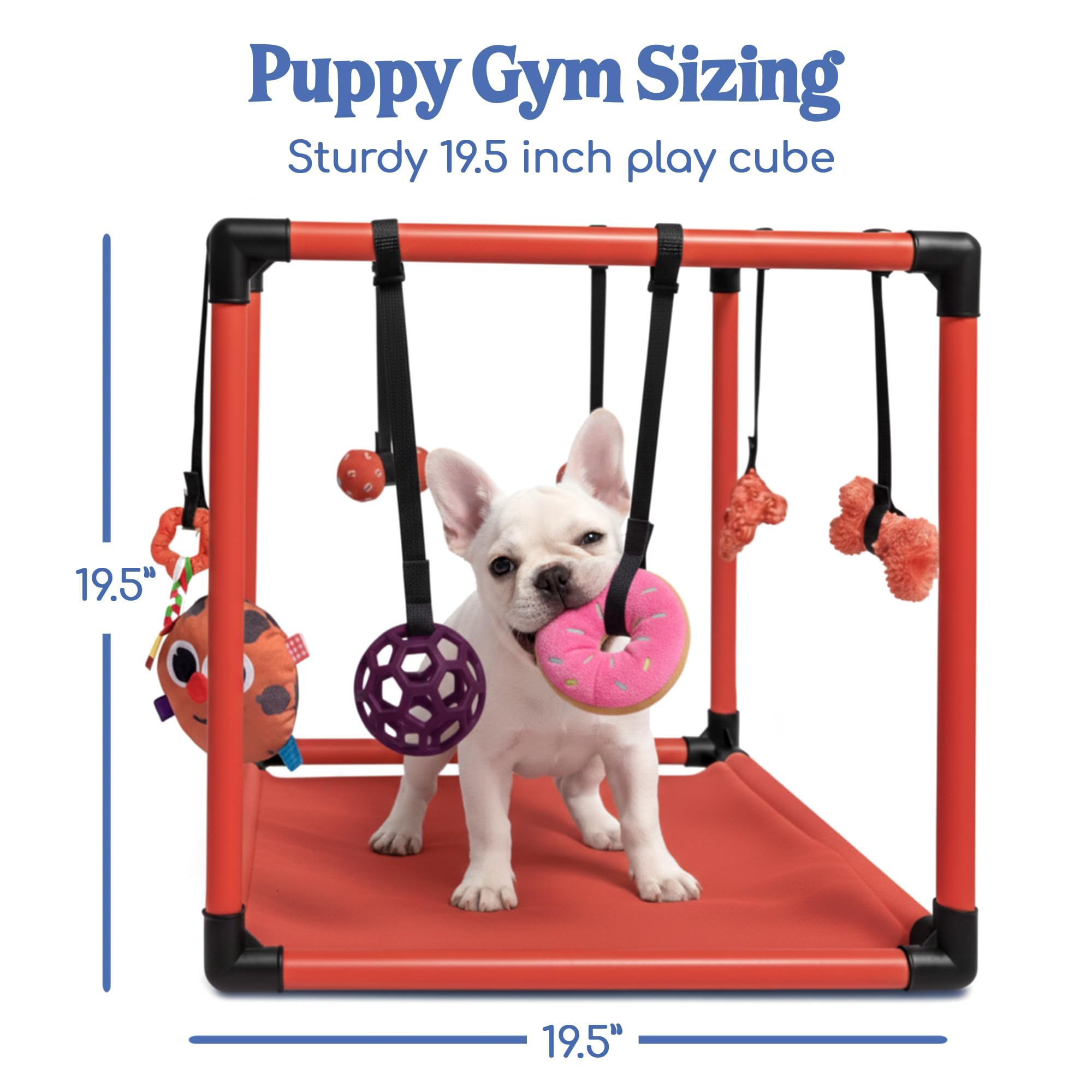 Race&Herd Puppy Play Gym, alfombra removible, limpieza fácil para sesiones de juego prolongadas.