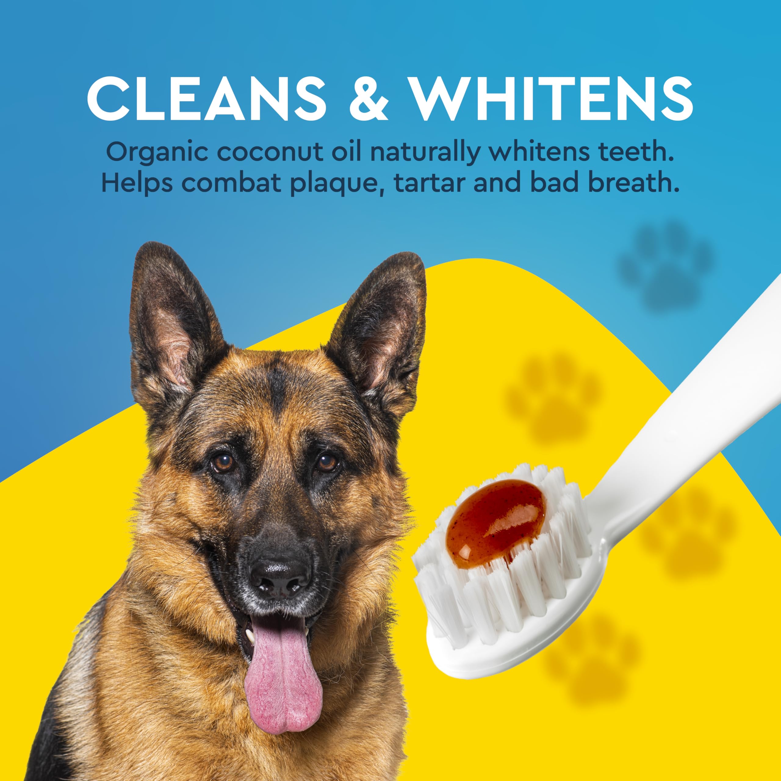 Radius pasta dental canina sin xilitol para mascotas.