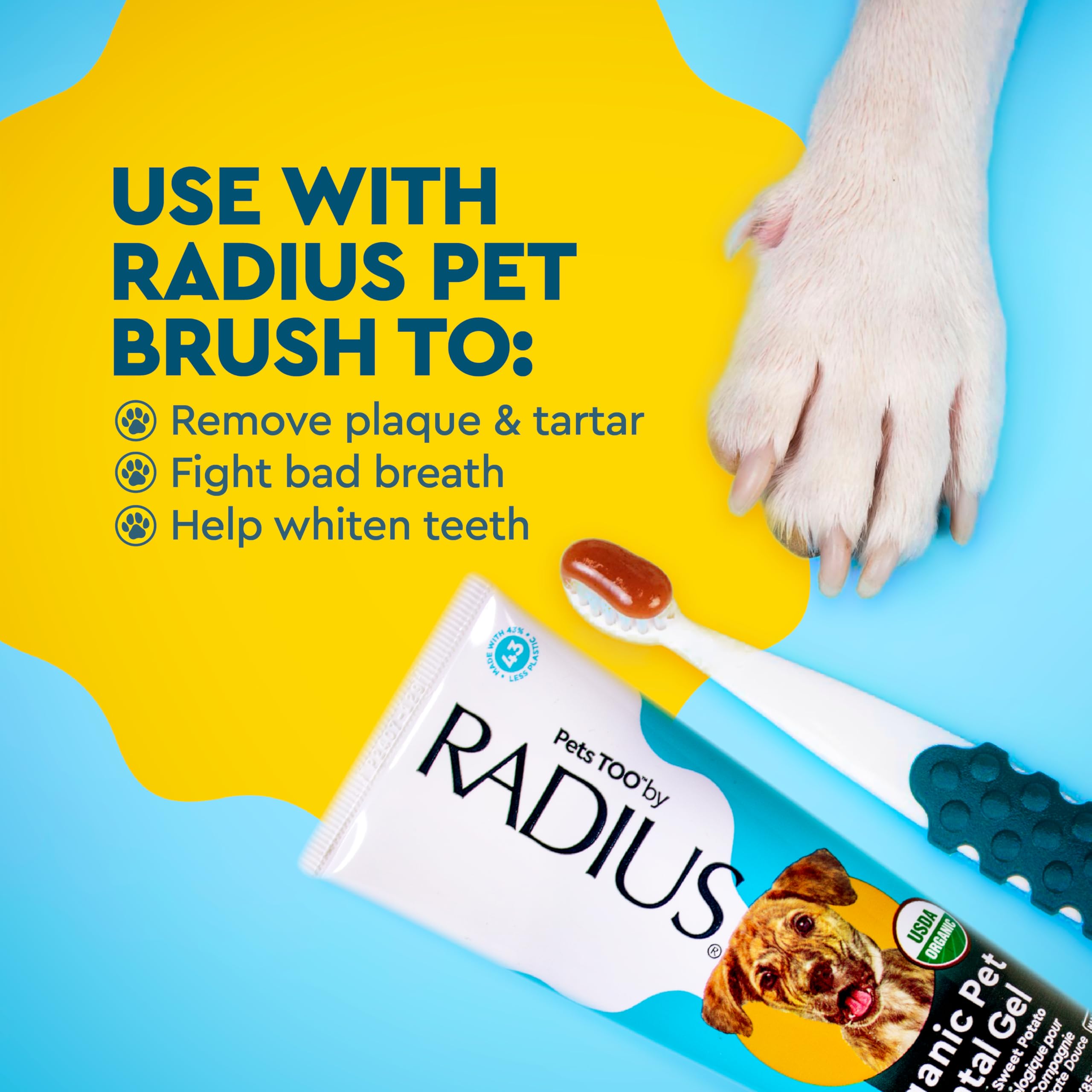 Radius pasta dental canina tamaño de viaje para llevar contigo.