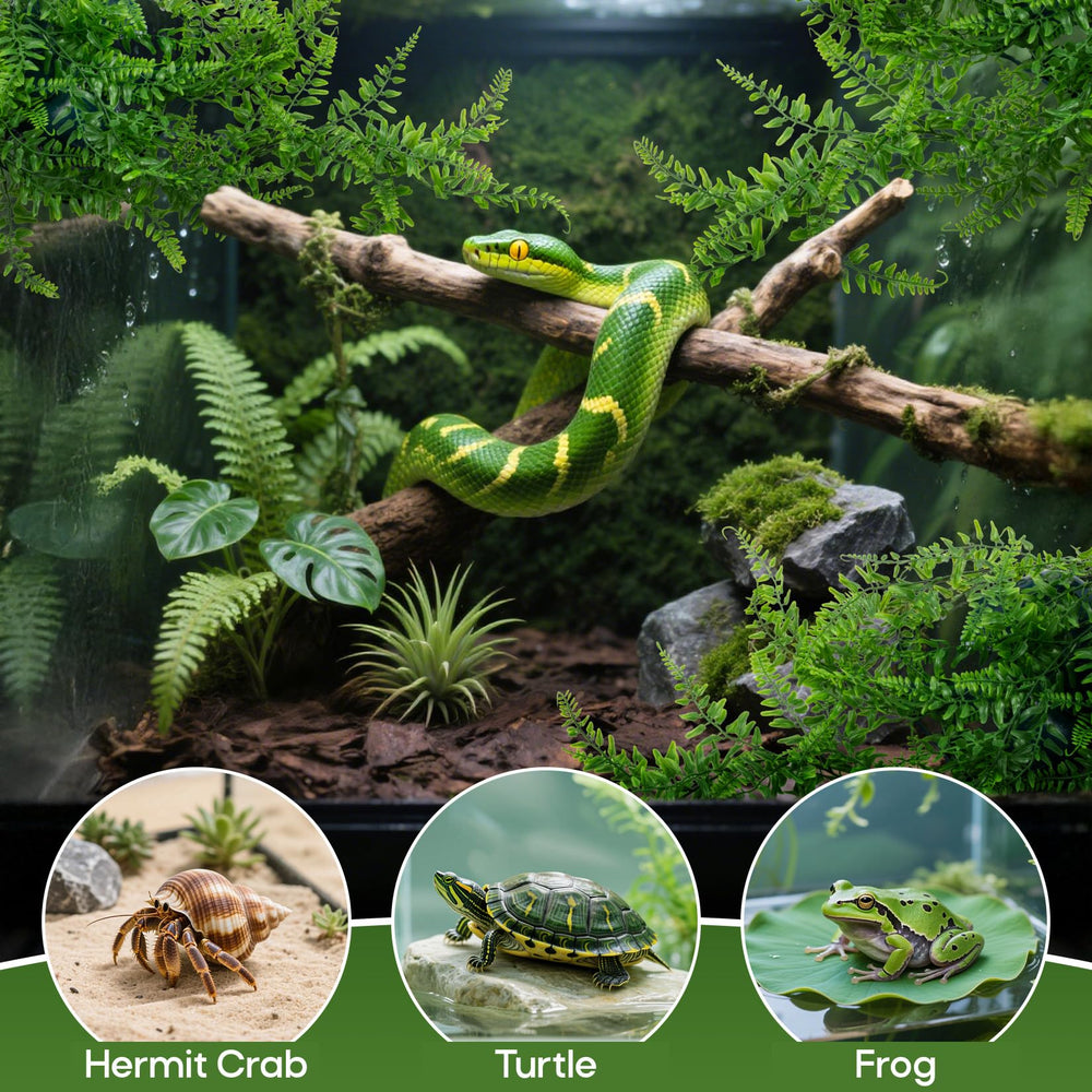 RAINFLOW decoración de hábitat durable en terrario, hecha de pexileno resistente a la humedad.