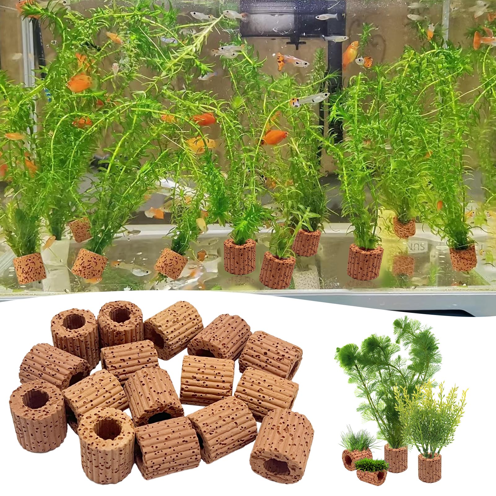 Rainmae anillo fijo para plantas acuáticas, peso propio ayuda hundimiento