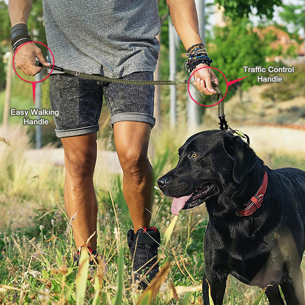Raipult costuras en X reforzadas para perros grandes.